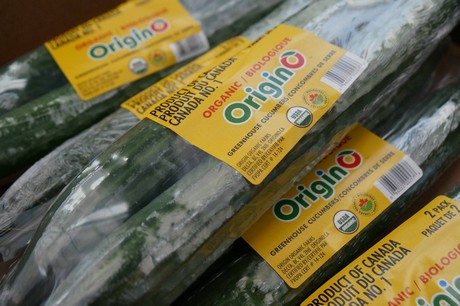 Origino Organic Cucumbers