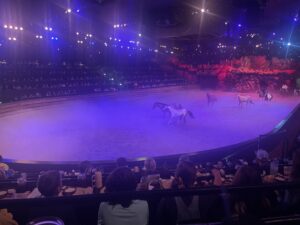 horses galloping through fog special effects